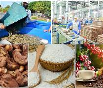 Xuất khẩu nông, lâm, thủy sản đạt gần 16,7 tỷ USD trong quý I năm 2026