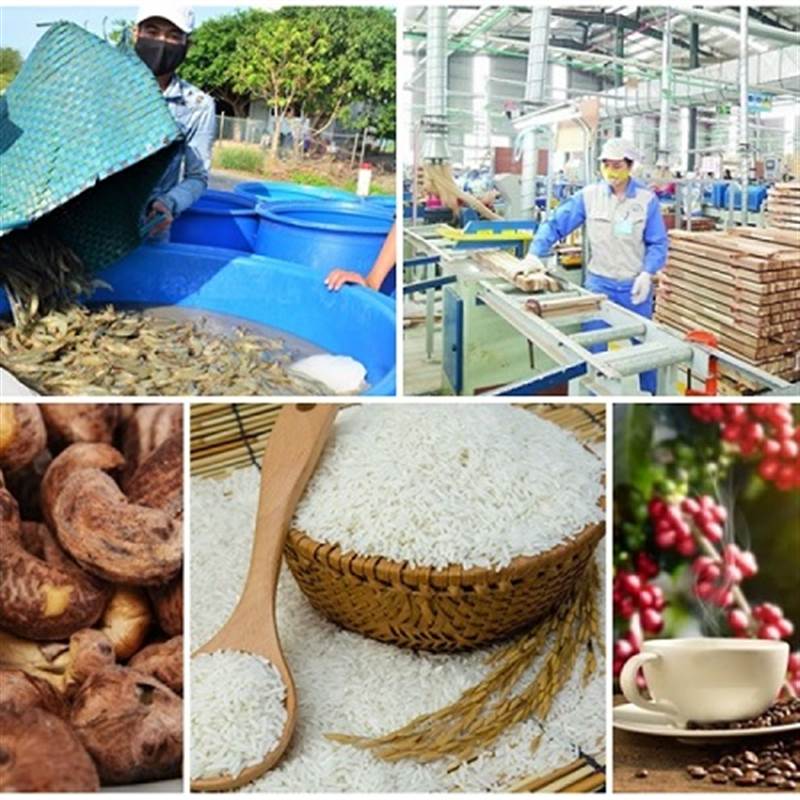 Xuất khẩu nông, lâm, thủy sản đạt gần 16,7 tỷ USD trong quý I năm 2026
