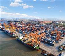 DVP: Dự chi tối thiểu 600 tỷ đồng cổ tức, đặt kế hoạch lãi 460 tỷ đồng, trong khi doanh thu năm trước chỉ hoàn thành 76%