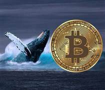 Các 'cá voi' đang rời Bitcoin