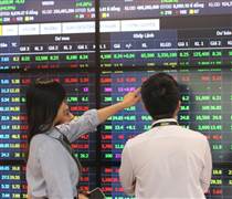 Chuyên gia TVS dự báo KQKD quý 1 của loạt nhóm ngành “hot”: Bán lẻ, Thép, Bảo hiểm, Phân bón