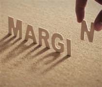 Loạt CTCK cắt margin, cổ phiếu BMI giảm kịch sàn