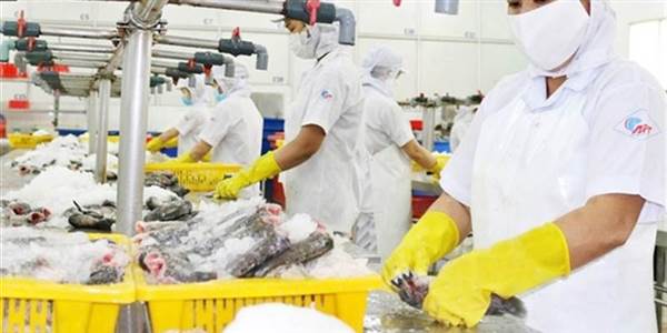 APT: ‘Mắc kẹt’ với khoản vay vàng từ năm 2009, lỗ 1.153 tỷ đồng, mất khả năng thanh toán