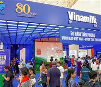 Lãi suất tăng cao, Bảo Việt, Thế Giới Di Động, Vinamilk thu nghìn tỷ từ tiền gửi