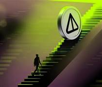 TON mất 24% vốn hóa thị trường, nhưng các holder lớn nhất vẫn mua thêm