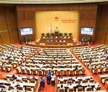 Tin vui: Xăng dầu chính thức được miễn nhiều loại thuế quan trọng đến hết 30/6