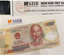 Làn sóng chia cổ tức cao hiếm thấy