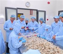 SKV: Sanvinest Khánh Hòa: Bức tranh tài chính và năng lực quản trị qua các chỉ số tăng trưởng