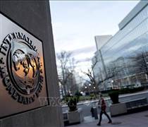 Hội nghị IMF 2026: Kinh tế thế giới trước "phép thử" Iran
