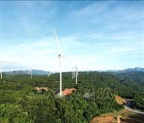 An ninh năng lượng: Việt Nam-Điểm sáng về thích ứng giữa "tâm bão"