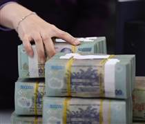 Nhiều doanh nghiệp đầu ngành đặt kế hoạch lợi nhuận tham vọng