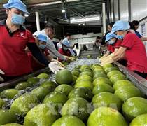 Bộ Công Thương tiếp tục cắt giảm thủ tục xuất nhập khẩu