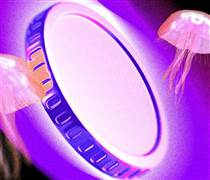 3 altcoin nên theo dõi trong tuần thứ 3 của tháng 04/2026