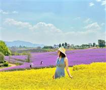 Thị trường du lịch khởi động sớm cho kỳ nghỉ Giỗ Tổ và 30/4 - 1/5