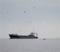 Né lệnh phong tỏa của Washington, một tàu bị Mỹ trừng phạt chở 250.000 thùng nhiên liệu thành công vượt eo biển Hormuz