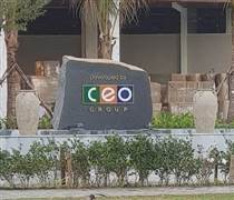 CEO: Cổ đông lớn của CEO Group ‘xả hàng’ 9 triệu cổ phiếu CEO