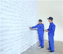 Lựa chọn nhà thầu mua 300.000 tấn gạo dự trữ quốc gia nhập kho năm 2026