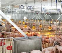 DBC: Thận trọng đi lùi