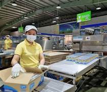 QNS: Một công ty sắp chốt ngày trả cổ tức 20% bằng tiền mặt, duy trì mức 40% năm thứ ba liên tiếp