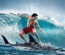 MASVN: Có cơ sở để giả định rằng VN-Index đã tạo đáy