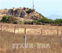 Tăng tính chủ động cho cấp cơ sở trong quản lý, sử dụng hiệu quả tài nguyên đất đai