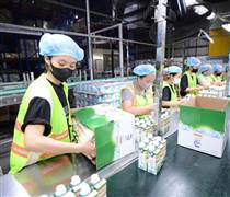 Cơ hội tốt để tái cấu trúc mô hình tăng trưởng