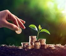 Điểm lại các doanh nghiệp lên kế hoạch trả cổ tức trên 100% mùa ĐHĐCĐ năm 2026