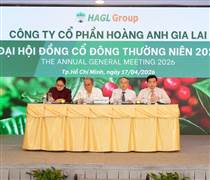 HAG: HAGL chỉ chia cổ tức tiền mặt, tương lai giảm vốn về lại 9.000 tỷ đồng