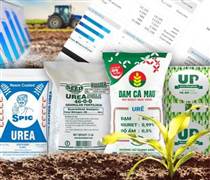 Lợi nhuận quý I bùng nổ, nhiều ngành tăng “bằng lần” nhưng 2 nhóm lại giảm