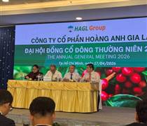 HAG: Bầu Đức - Ai có tiền cứ mua cổ phiếu HAG giống tôi, nếu 1–2 năm nữa mà lỗ cứ kêu tôi ra chửi