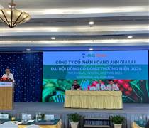 HAG: Bầu Đức - 'Tôi còn điều hành, HAGL sẽ không phát hành cổ phiếu kiểu tờ A4'