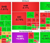 Cổ phiếu MWG tăng trần, thanh khoản “bùng nổ” trong ngày VN-Index “hạ nhiệt”