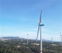 Chân dung liên danh làm loạt dự án điện gió, điện mặt trời gần 5.000 tỷ tại Gia Lai