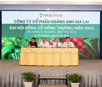 Sắp IPO công ty con, Bầu Đức tự tin: "Ai gan cam kết như HAGL, cổ tức tiền mặt 50% trong 3 năm"