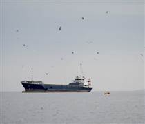 Tàu chở dầu 'ùn ùn' kéo về, thăm dò ngày Iran mở cửa eo biển Hormuz