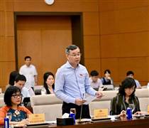 Làm rõ việc giao Chính phủ quy định ngưỡng doanh thu không phải nộp thuế