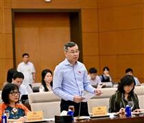 Nên nghiên cứu ngưỡng doanh thu không phải nộp thuế ở mức tối thiểu 2 tỉ đồng