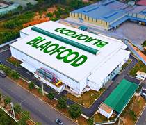 Antesco muốn vào TOP 3 Đông Nam Á, kỳ vọng lợi nhuận tăng mạnh từ quý II