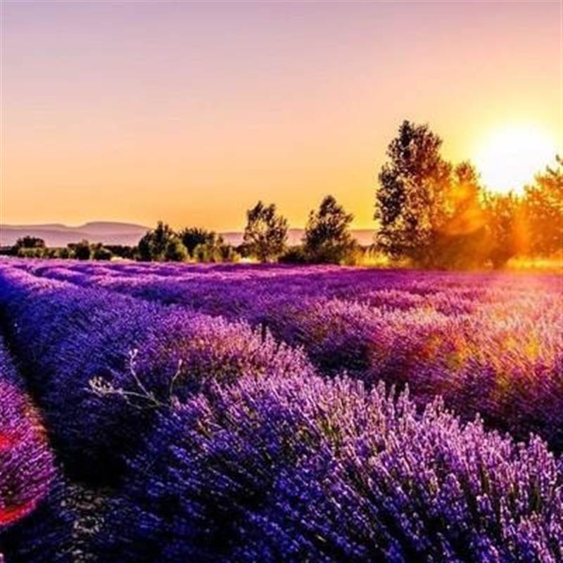 DHB: Báo lãi vượt kế hoạch năm, cổ phiếu lập tức "tím lịm"