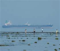 'Quả ngọt' về tay, mỗi ngày hơn 200 triệu USD rơi vào túi Nga: Một nước vừa mua dầu nhiều kỷ lục