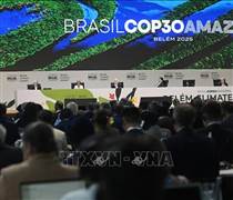 Thúc đẩy chuyển dịch năng lượng toàn cầu tại Đối thoại Khí hậu Petersberg lần thứ 17