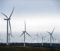 Năng lượng tái tạo lần đầu vượt than đá trong sản lượng điện toàn cầu