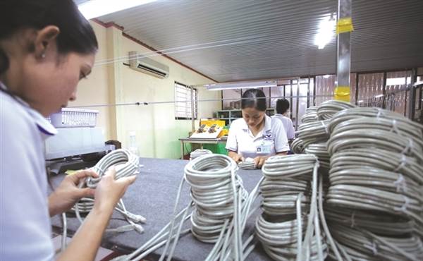 Soi danh mục đầu tư Louis Holdings