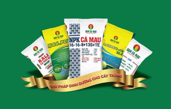 DCM: Loạt yếu tố khả quan, DCM được khuyến nghị giá mục tiêu