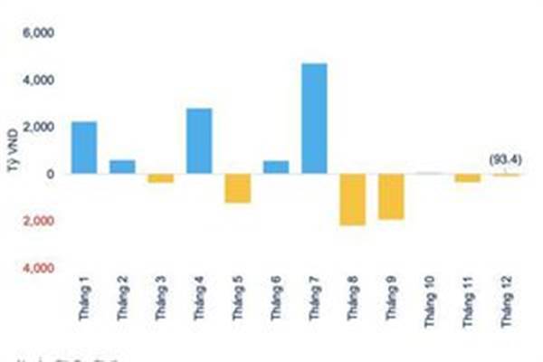 13 quỹ ETF ghi nhận dòng tiền vào ròng 4.700 tỷ đồng năm 202