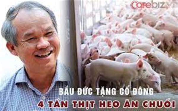 HAG: Bầu Đức bán thịt heo ăn chuối chỉ trong một ngày