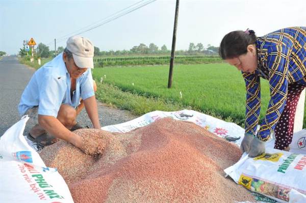 Giá phân bón “hạ nhiệt”: Doanh nghiệp lại lo tồn kho