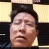 tigerone11