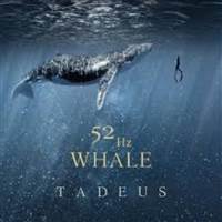 Whale 52Hz