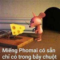 Bố  Đời